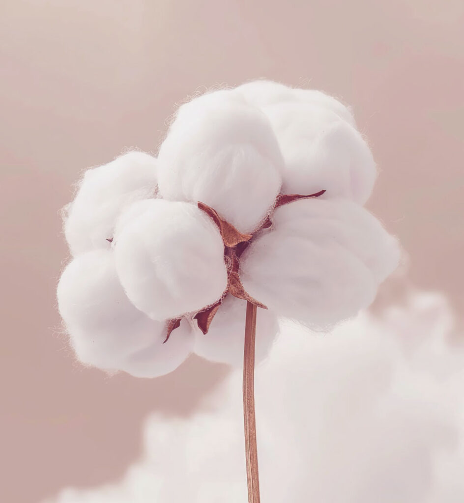Flor de nube